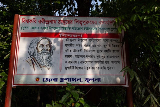 A roadside signboard installed by local authorities explains the Kushari family’s connection to Rabindranath Tagore at the entrance to Pithabhog village in Khulna, Bangladesh, where the poet’s forefathers once settled by the river. Photo: Nayem Ali
