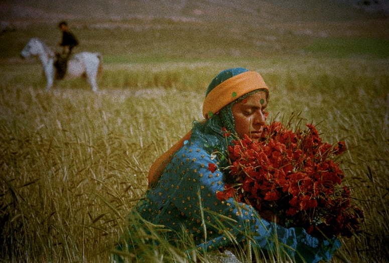 When the Wind Carried Me to Iranian Cinema